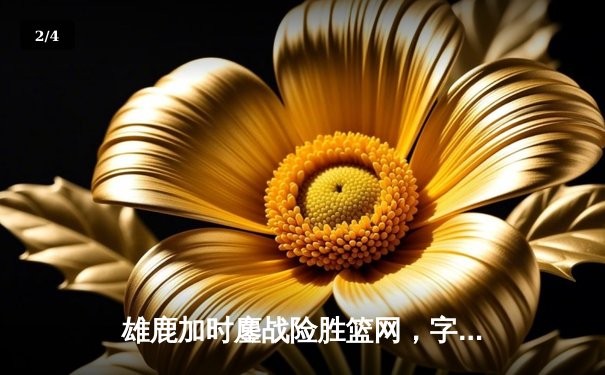 雄鹿加时鏖战险胜篮网，字母哥36+12+5主宰关键时刻 - 2